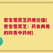 密生雪灵芝药用价值(密生雪灵芝：药食两用的珍贵中药材)