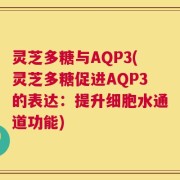 灵芝多糖与AQP3(灵芝多糖促进AQP3的表达：提升细胞水通道功能)