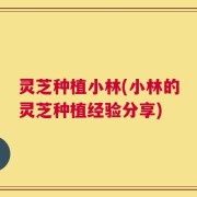 灵芝种植小林(小林的灵芝种植经验分享)