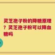 灵芝孢子粉的降糖原理？灵芝孢子粉可以降血糖吗