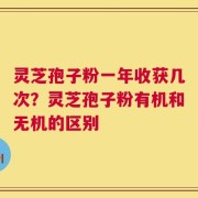 灵芝孢子粉一年收获几次？灵芝孢子粉有机和无机的区别