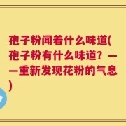 孢子粉闻着什么味道(孢子粉有什么味道？——重新发现花粉的气息)