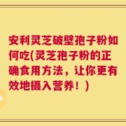 安利灵芝破壁孢子粉如何吃(灵芝孢子粉的正确食用方法，让你更有效地摄入营养！)