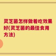 灵芝菌怎样做着吃效果好(灵芝菌的最佳食用方法)