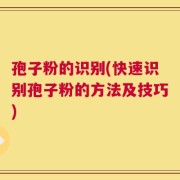 孢子粉的识别(快速识别孢子粉的方法及技巧)