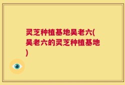 灵芝种植基地吴老六(吴老六的灵芝种植基地)