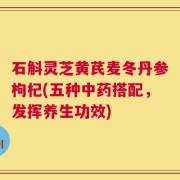 石斛灵芝黄芪麦冬丹参枸杞(五种中药搭配，发挥养生功效)