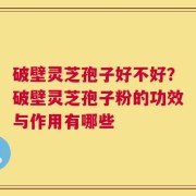 破壁灵芝孢子好不好？破壁灵芝孢子粉的功效与作用有哪些