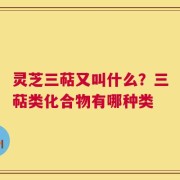 灵芝三萜又叫什么？三萜类化合物有哪种类