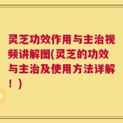 灵芝功效作用与主治视频讲解图(灵芝的功效与主治及使用方法详解！)