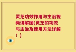 灵芝功效作用与主治视频讲解图(灵芝的功效与主治及使用方法详解！)