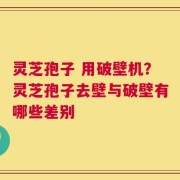 灵芝孢子 用破壁机？灵芝孢子去壁与破壁有哪些差别
