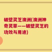 破壁灵芝澳洲(澳洲神奇灵草——破壁灵芝的功效与用途)