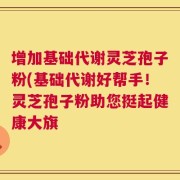 增加基础代谢灵芝孢子粉(基础代谢好帮手！灵芝孢子粉助您挺起健康大旗