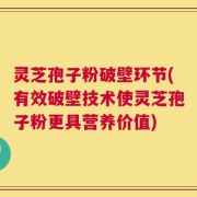 灵芝孢子粉破壁环节(有效破壁技术使灵芝孢子粉更具营养价值)
