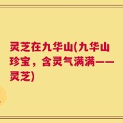 灵芝在九华山(九华山珍宝，含灵气满满——灵芝)