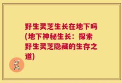 野生灵芝生长在地下吗(地下神秘生长：探索野生灵芝隐藏的生存之道)