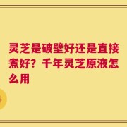 灵芝是破壁好还是直接煮好？千年灵芝原液怎么用