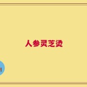 人参灵芝烫