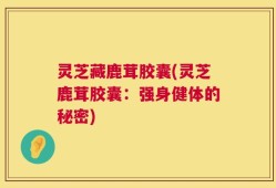 灵芝藏鹿茸胶囊(灵芝鹿茸胶囊：强身健体的秘密)