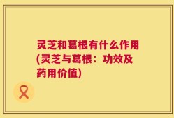 灵芝和葛根有什么作用(灵芝与葛根：功效及药用价值)
