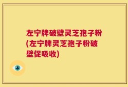 左宁牌破壁灵芝孢子粉(左宁牌灵芝孢子粉破壁促吸收)