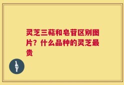 灵芝三萜和皂苷区别图片？什么品种的灵芝最贵