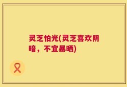 灵芝怕光(灵芝喜欢阴暗，不宜暴晒)