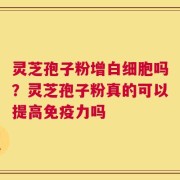 灵芝孢子粉增白细胞吗？灵芝孢子粉真的可以提高免疫力吗