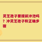 灵芝孢子要提前冲泡吗？冲灵芝孢子粉正确步骤
