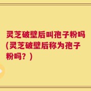 灵芝破壁后叫孢子粉吗(灵芝破壁后称为孢子粉吗？)