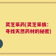 灵芝采药(灵芝采摘：寻找天然药材的秘密)