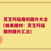 灵芝玛瑙雕刻图片大全(精美膳材：灵芝玛瑙雕刻图片汇总)