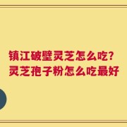 镇江破壁灵芝怎么吃？灵芝孢子粉怎么吃最好