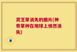 灵芝草消失的图片(神奇草种在地球上悄然消失)