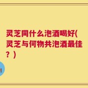 灵芝同什么泡酒喝好(灵芝与何物共泡酒最佳？)