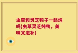 虫草和灵芝鸭子一起炖吗(虫草灵芝炖鸭，美味又滋补)