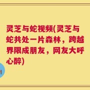 灵芝与蛇视频(灵芝与蛇共处一片森林，跨越界限成朋友，网友大呼心醉)