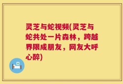 灵芝与蛇视频(灵芝与蛇共处一片森林，跨越界限成朋友，网友大呼心醉)