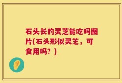 石头长的灵芝能吃吗图片(石头形似灵芝，可食用吗？)
