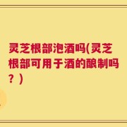 灵芝根部泡酒吗(灵芝根部可用于酒的酿制吗？)