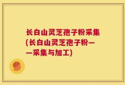 长白山灵芝孢子粉采集(长白山灵芝孢子粉——采集与加工)
