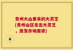 贵州大山里采的大灵芝(贵州山区走出大灵芝，激发市场需求)