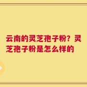 云南的灵芝孢子粉？灵芝孢子粉是怎么样的