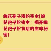 蝉花孢子粉的寄主(蝉花孢子粉寄主：揭开蝉花孢子粉背后的生命秘密)