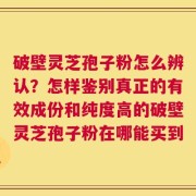 破壁灵芝孢子粉怎么辨认？怎样鉴别真正的有效成份和纯度高的破壁灵芝孢子粉在哪能买到