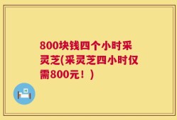 800块钱四个小时采灵芝(采灵芝四小时仅需800元！)