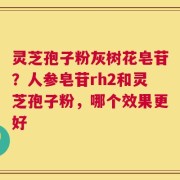 灵芝孢子粉灰树花皂苷？人参皂苷rh2和灵芝孢子粉，哪个效果更好