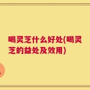 喝灵芝什么好处(喝灵芝的益处及效用)