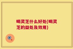 喝灵芝什么好处(喝灵芝的益处及效用)